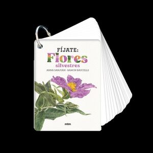 FÍJATE  FLORES SILVESTRES