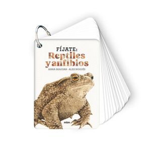 FÍJATE REPTILES Y ANFIBIOS