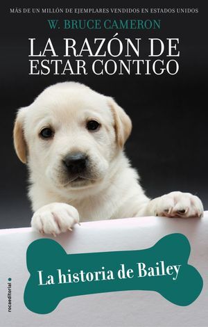RAZON DE ESTAR CONTIGO. LA HISTORIA DE B