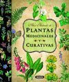 ATLAS ILUSTRADO DE PLANTAS MEDICINALES Y CURATIVAS